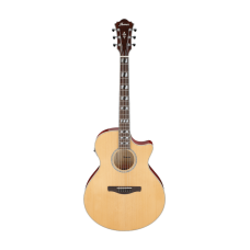Chitarra acustica Elettrificata IBANEZ AE 170-NTR